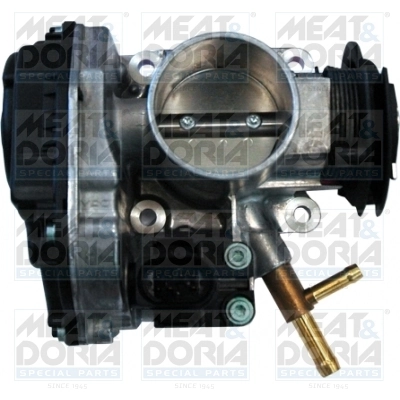 Throttle Body